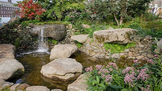 RHS Chelsea 2021 Award Winners