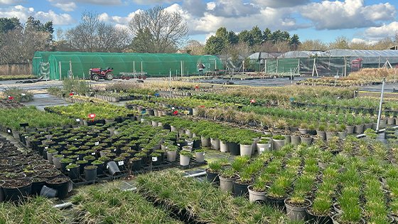 Chelsea Flower Show Update 2