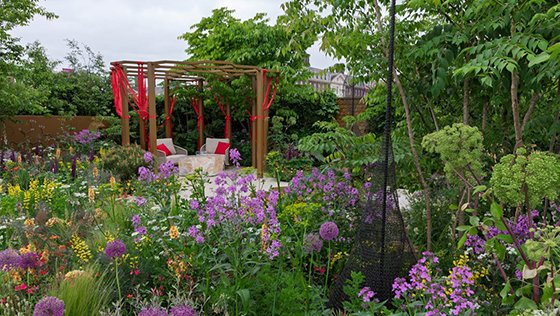Chelsea Flower Show Medal Winners