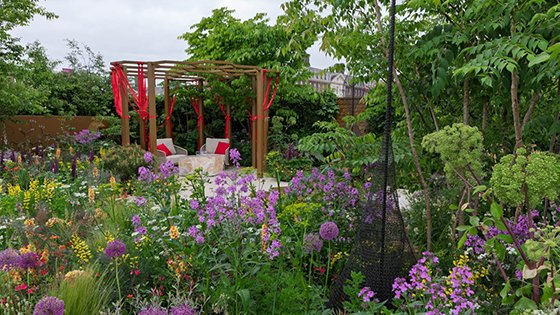 Chelsea Flower Show Medal Winners 